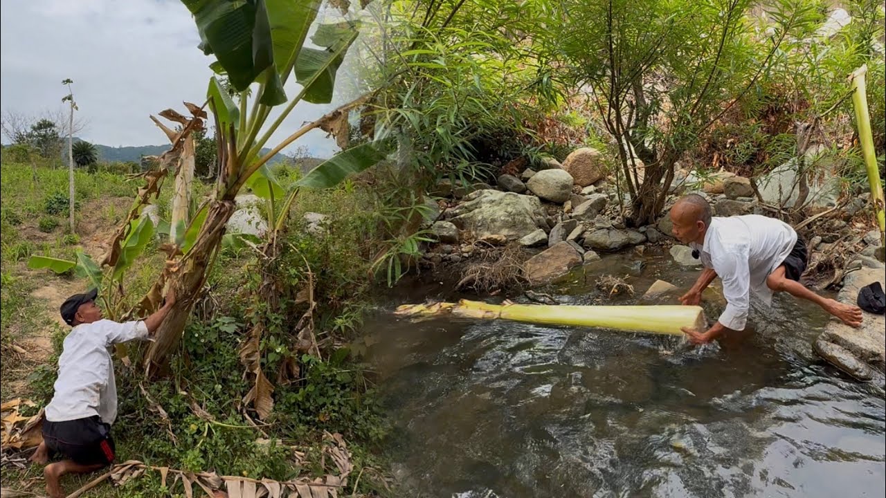 Một ngày đi lấy chuối với anh, nhưng trước khi lấy anh ghé nhà chị 2 để làm thủ tục này