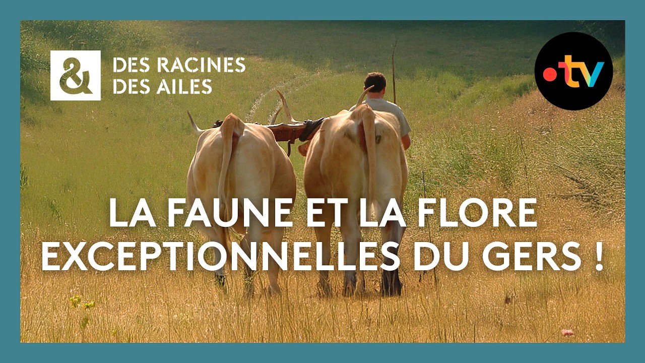 La faune et la flore exceptionnelles du Gers ! - Des racines et des ailes