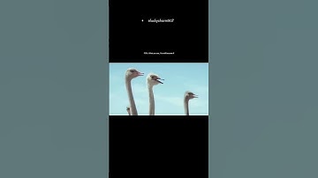 "Unlock Your Potential:The Power of Imagination-Soar Beyond Limits" #shorts #motivation #viralshorts