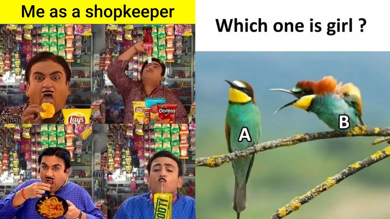 Funny Memes That Will Make You Laugh | Funny Memes | Dank Memes ...