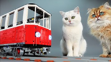 Building a Cat-Sized Lego Train