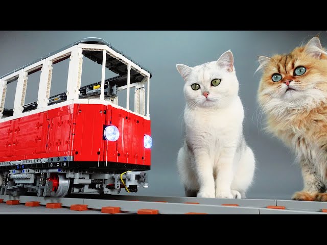 Cat Sized Lego Train class=