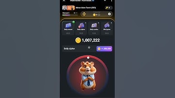 5 August Hamster Kombat Daily Cipher Code | Cipher Code Today