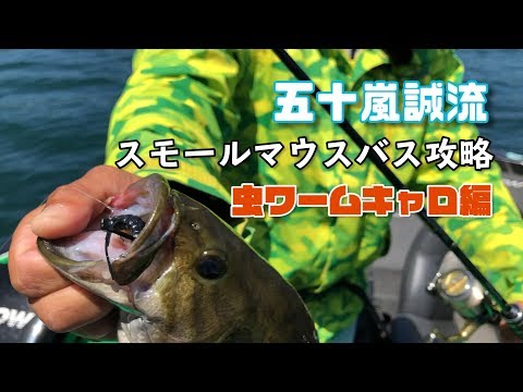 Igarashi Makoto's Smallmouth Bass Tactics! [Insect Worm Caro