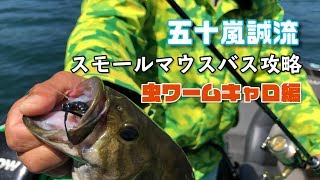 Igarashi Makoto's Smallmouth Bass Tactics! [Insect Worm Caro