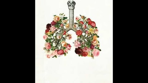 و نزعنا ما في صدورهم من غل 💖 بكاء الشيخ صوت يريح القلب 🌹 آيات من سورة الاعراف