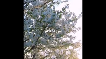 سورة : فاطر القارئ : رعد الكردي