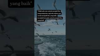 Tiada seorang ibu yang sempurna #videoshort #katakatamotivasi