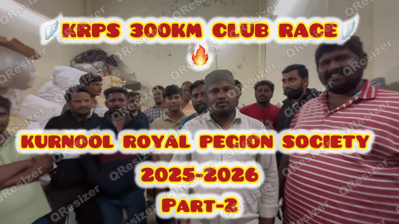KRPS (KURNOOL ROYAL PEGIONS SOCIETY)200KM RACE VIDEO UPDATE @RACINGPEGION @KABUTAR ‪@Andhrakabutar‬