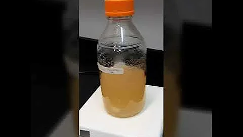 Preparacin de medios de cultivo para hongos: Dra. ...