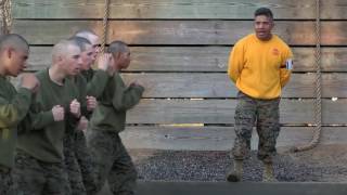 Marine Echo Recruits Tackle Confidence Course