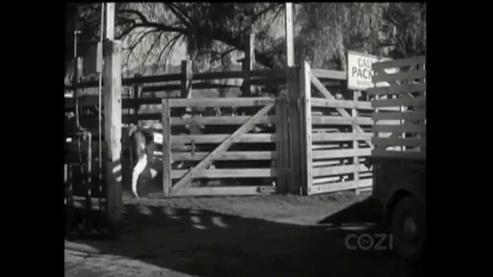 Lassie - Episode #247 - "Bessie" - Season 7, Ep. 2...