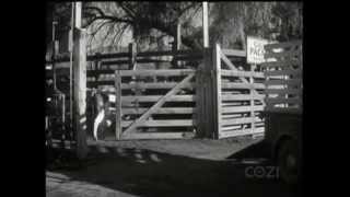 Lassie - Episode #247 - "Bessie" - Season 7, Ep. 28 - 03/26/1961