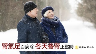 腎氣足百病除 冬天養腎正當時 | 談古論今話中醫(442)