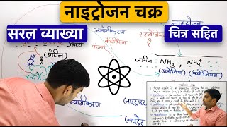 नाइट्रोजन चक्र | चित्र सहित सरल व्याख्या | Nitrogen Cycle in Hindi
