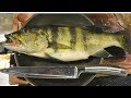 Catch n' Cook Topwater Peacock Bass!