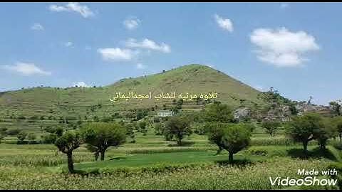 تلاوه مؤثرة القارئ امجد البعداني