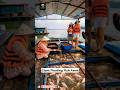 Giant Floating Fish Farm ll TOT FACTS