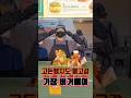 인생버거를 기장에서 만날줄이야~모르면 찾아가기 힘든 기장 수제버거 맛집 #수제버거 #기장버거 #기장여행 #기장맛집 #기장맛집추천 #기장데이트 #기장가볼만한곳 #일광여행 #일광맛집