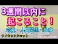3週間以内に起こること🪷✨恋愛・人間関係・仕事🍀忖度無し深掘りサイキックリーディング🪬