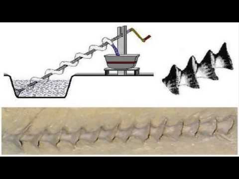 ფიზიკა მარტივი მექანიზმები