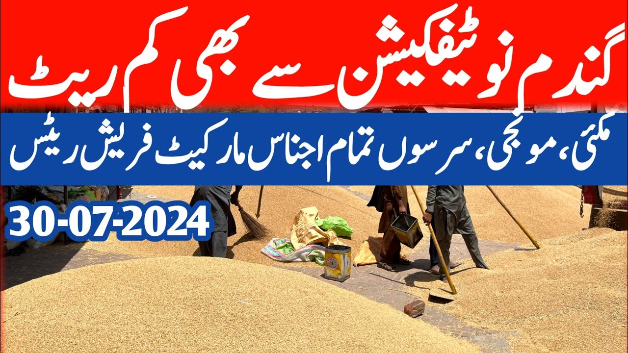 Wheat price today New Munji rate Makki Till rates 2024 || Khad rate ...