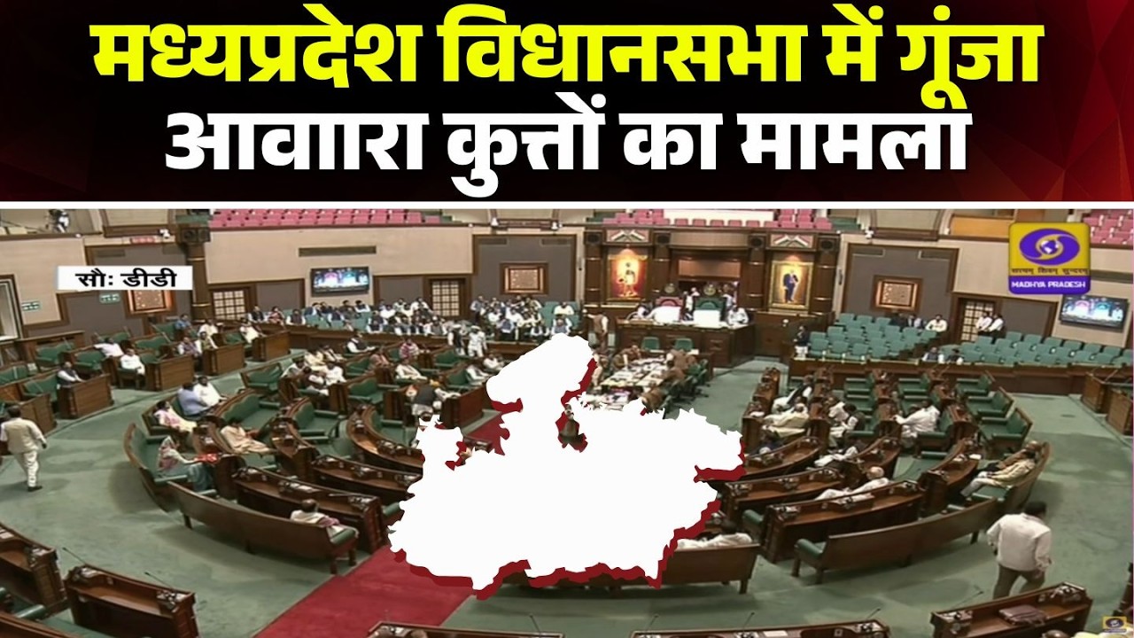 MP Budget Session 2026: MP बजट सत्र का दूसरा दिन। संदन में गूंजा आवारा कुत्तों का मामला