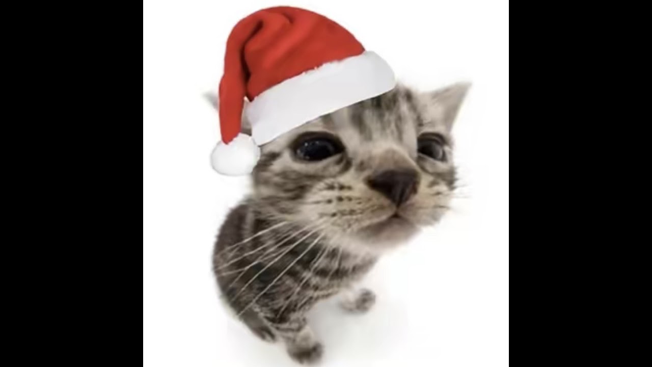 Fortnite any gifts help