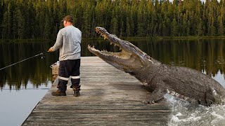 10 Scariest Recent Crocodile Attacks!