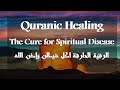 The Most Effective Quranic Verses to Purify You Soul | Follow the Quran | Submit Your Face to Allah