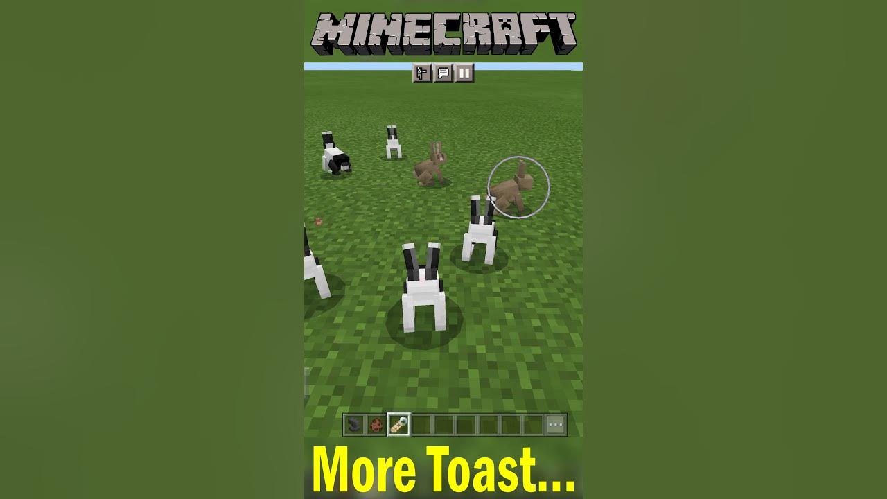 Minecraft What! How do you name a Rabbit toast in Minecraft? Minecraft Wiki Minecraft shorts
