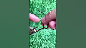 Cây tóm thẻo, buộc lưỡi câu, gỡ lưỡi siêu tốc, tiện lợi #fishing #shorts