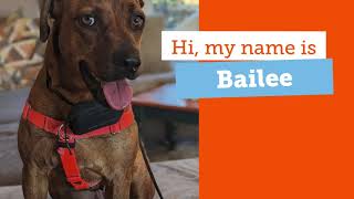 Bailee Adoption Video