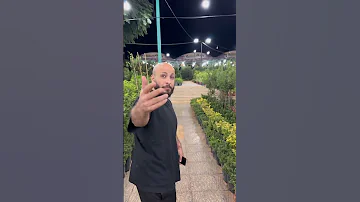 الاردن انا نفسي اهواكي زومبي بندورة 