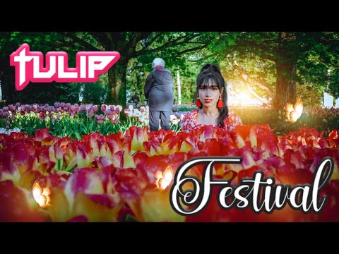 Tulip Festival Morges