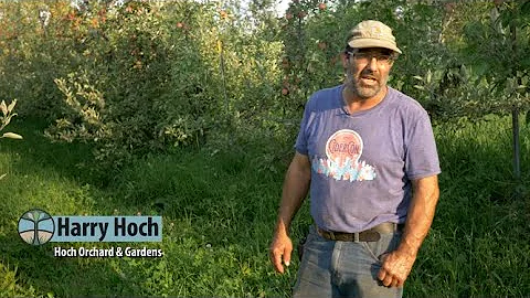 Hoch Orchard - Agroforestry Farm Tour Video Series