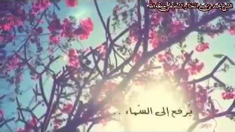 مادمت تقرأ الاذكار فأبشر بكل خير - الشنقيطي