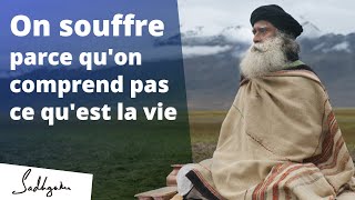 On souffre parce qu'on ne comprend pas ce qu'est la vie