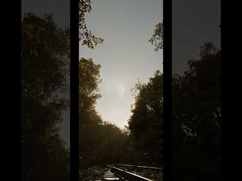 Train Track: Unreal