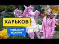 ХАРЬКОВ УДИВИЛ! Фельдман экопарк, бал хризантем