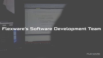 Meet Flexware’s Software Development Team