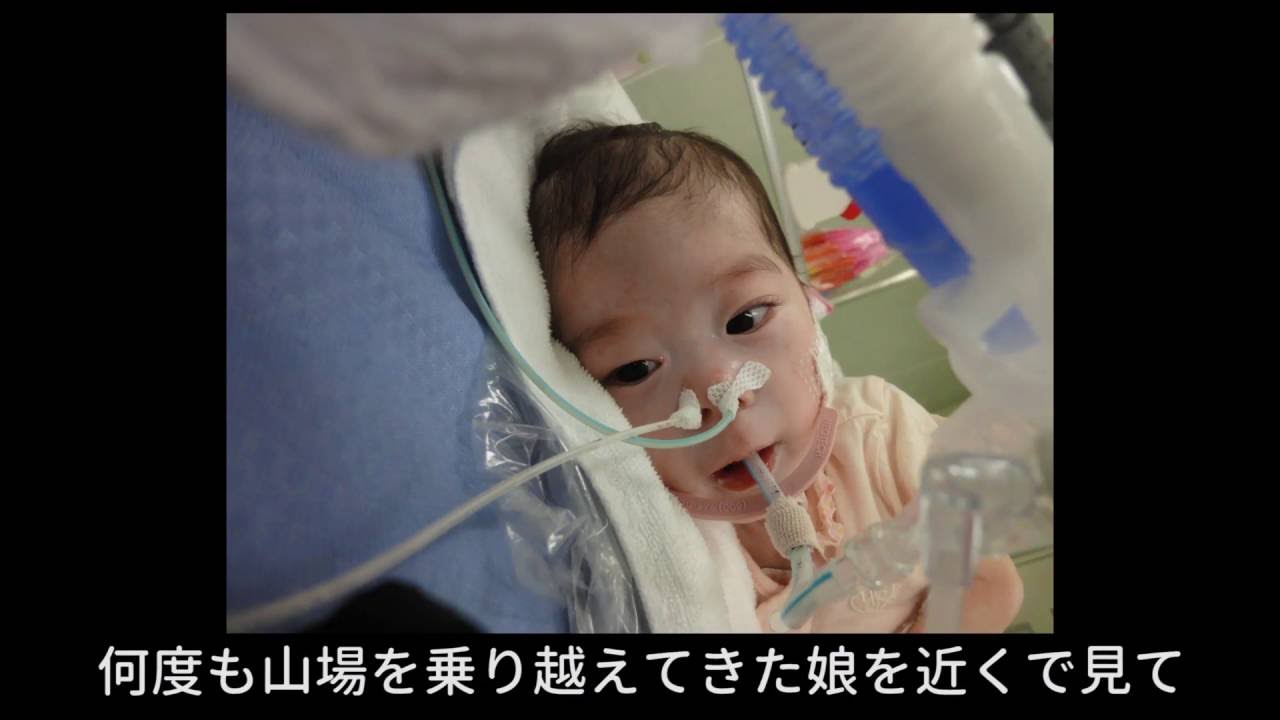 ひまりちゃんを救う会 Youtube