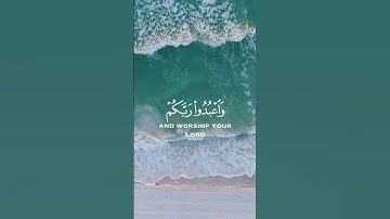 يا أيها الذين آمنوا اركعوا واسجدوا | الحج -٧٧ | عبدالرحمن مسعد | تصاميم أيات القرآن الكريم