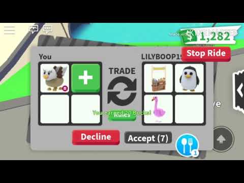 We Did Parkour And Got New Griffin Pets In Adopt Me Roblox - we did parkour and got new griffin pets in adopt me roblox