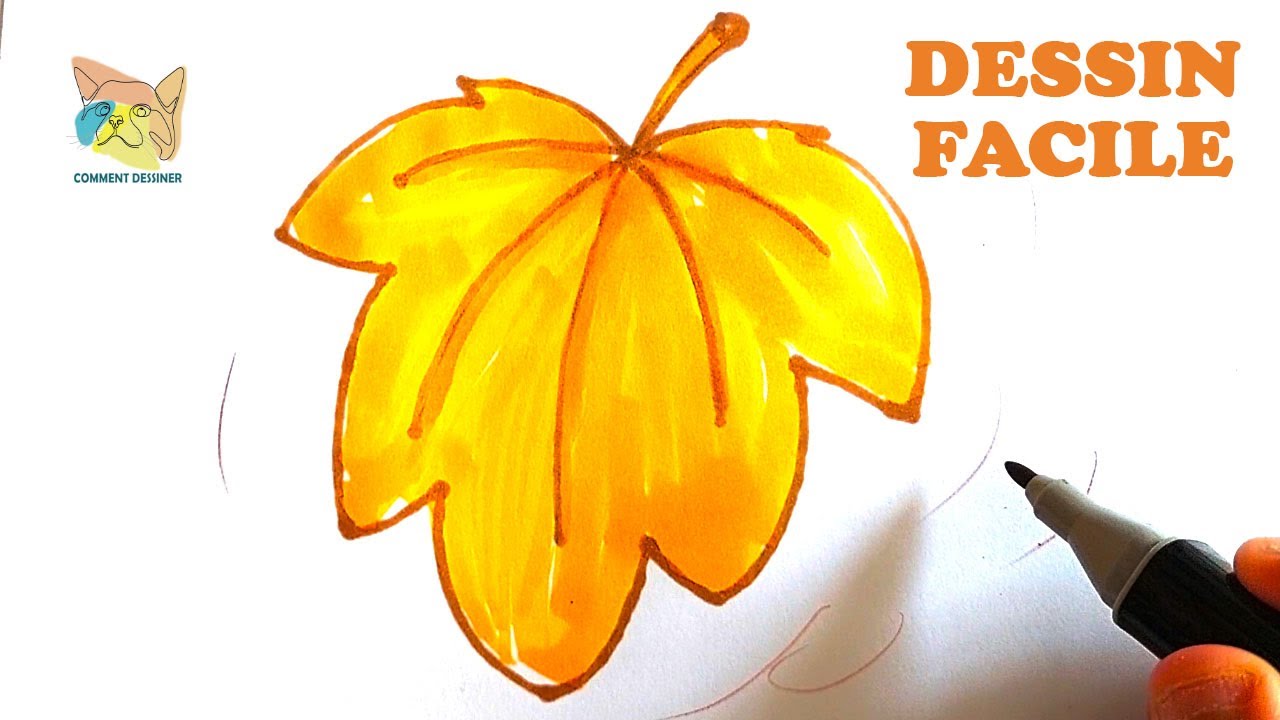 Dessin Feuille D automne Facile Comment dessiner une feuille d'arbre automne - YouTube