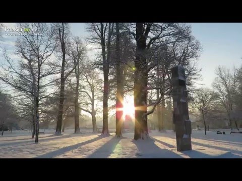 Zimska idila v Ljutomeru