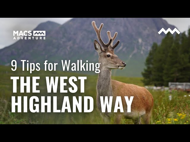 West Highland Way: Everything You Need to Know to Succeed in This Challenge  - Maximum Adventure