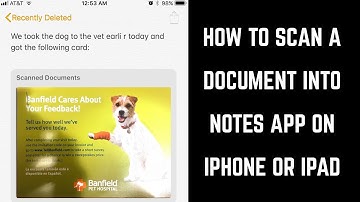 How to Scan a Document into Notes App on iPhone or iPad