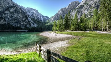 سورة فاطر بصوت جميل و هادئ #koran #quran #قرآن #قران_كريم