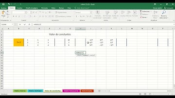 Tutorial Matrices 3x3 (Excel y Geogebra)